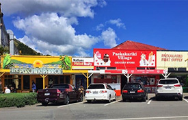 Paekakariki Village