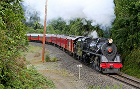 Paekakariki Steam Train Excursions