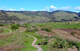 Queen Elizabeth Park and Whareroa Farm